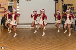 2026_efg_stadtweiberfasching_33_s