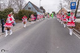 2026_efg-faschingszug_59_s