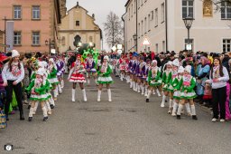 2026_efg-faschingszug_75_s