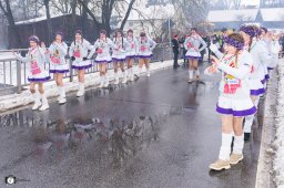 2026_faschingszug_hammerles_037