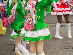 2026_EFG-Faschingszug_76_s