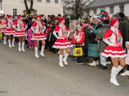 2026_EFG-Faschingszug_84_s