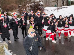 2026_Faschingszug_Hammerles_058
